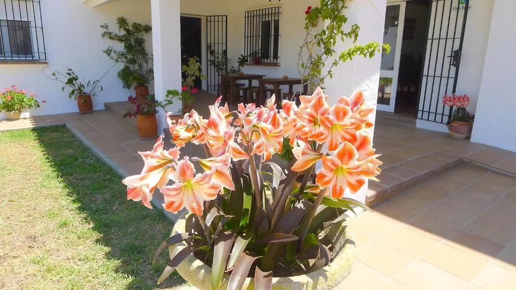 Hotel Casa Fina - Adults Recommended Conil De La Frontera